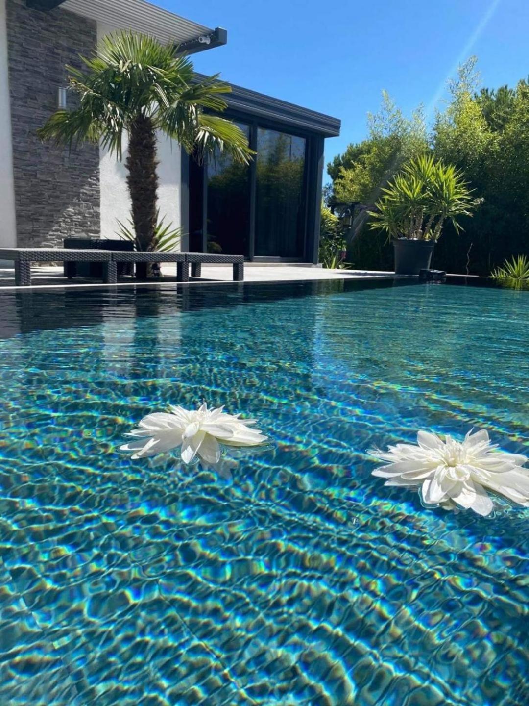Mon Petit Bali Bed and Breakfast Maussane les Alpilles Εξωτερικό φωτογραφία
